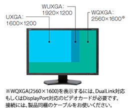 高解像度29.8型WQXGA（2560×1600）p-IPS液晶パネルを搭載